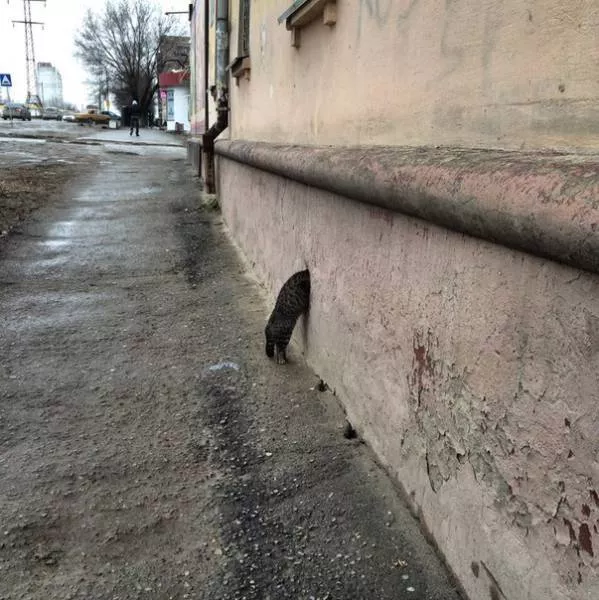 Mysterious pictures never explained - #31 
