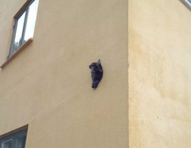 Mysterious pictures never explained - #4 