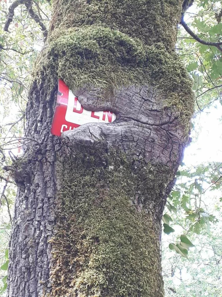 Picdump 674 - #23 