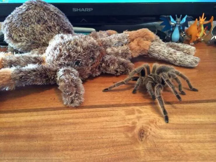 Picdump 674 - #29 