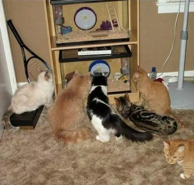Picdump 675 - #10 