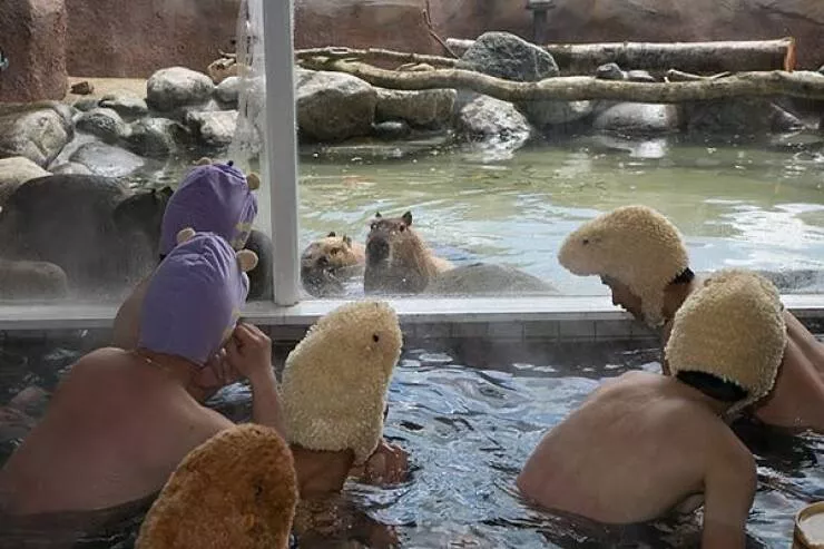 Picdump 675 - #36 