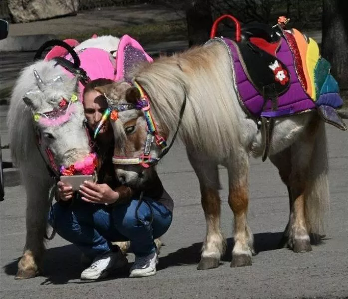 Picdump 675 - #42 