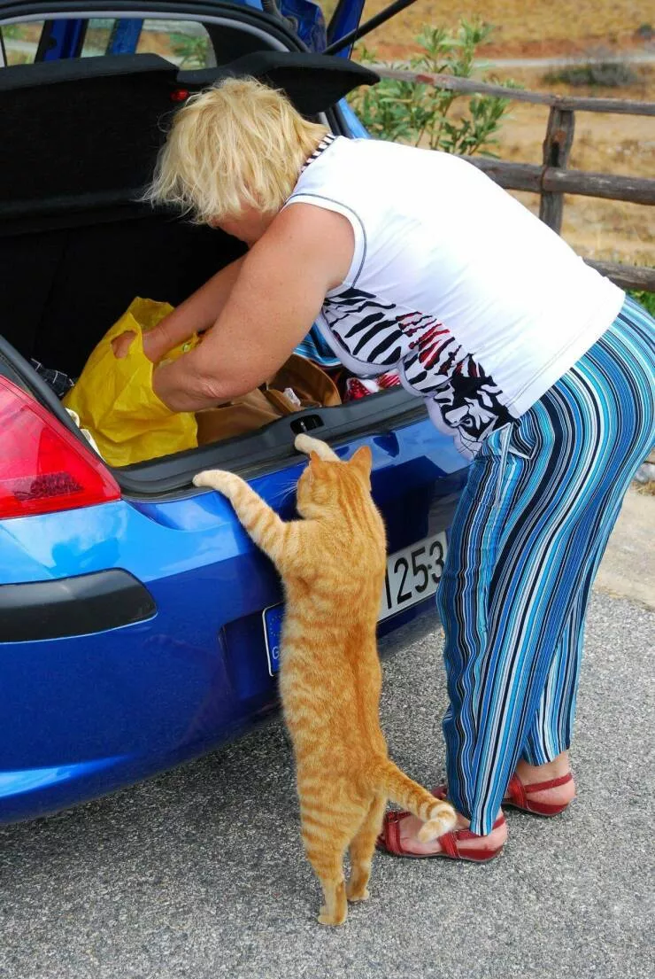 Picdump 675 - #58 
