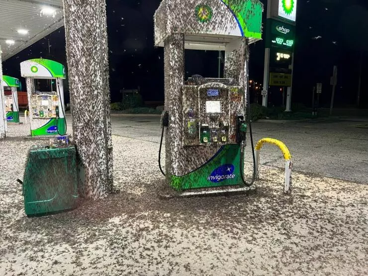 Picdump 675 - #60 