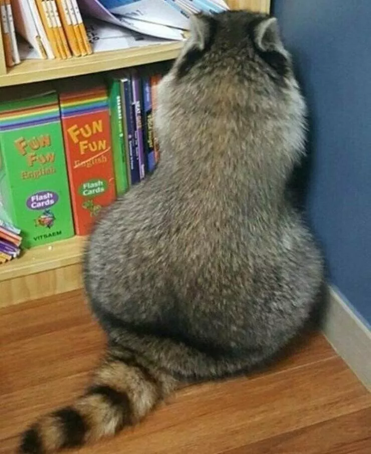Picdump 676 - #27 