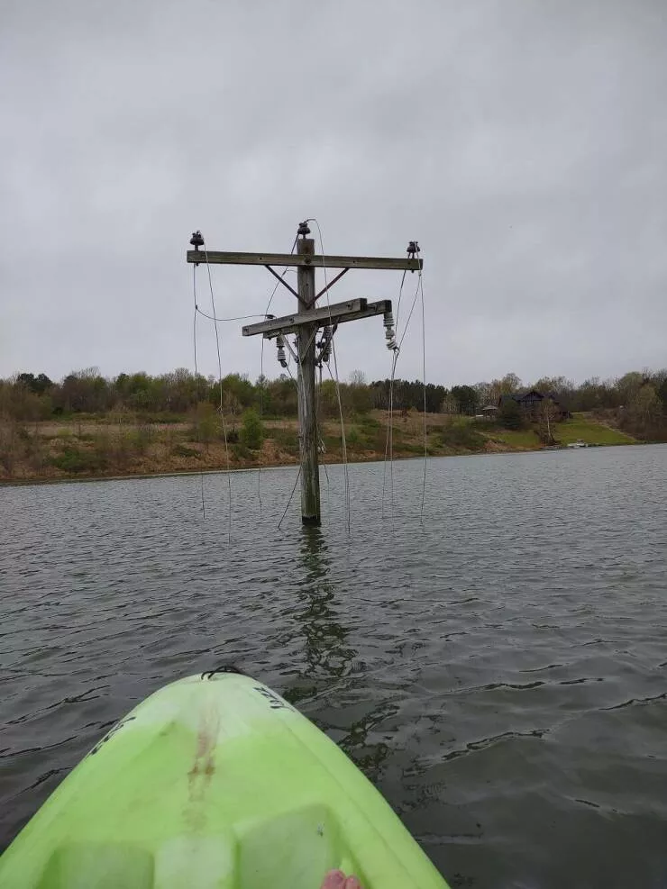 Picdump 676 - #5 