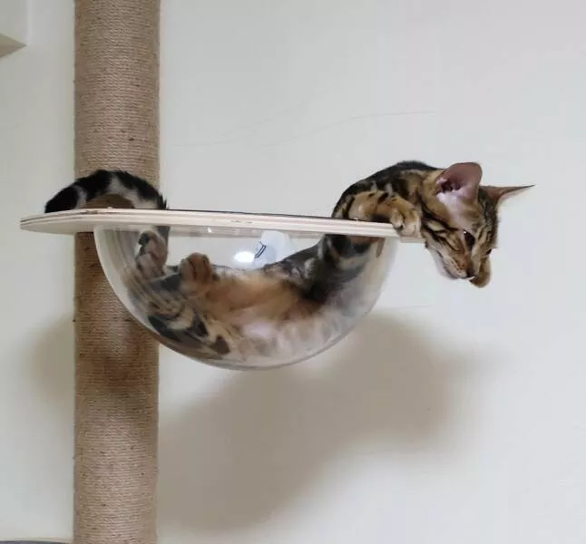 Picdump 676 - #8 