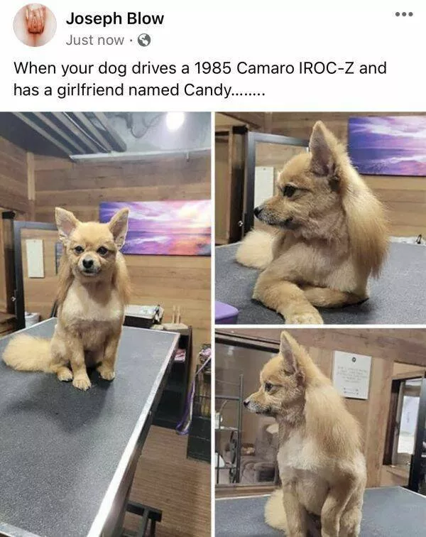 Random memes - #15 
