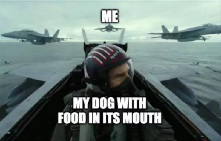 Random memes - #17 