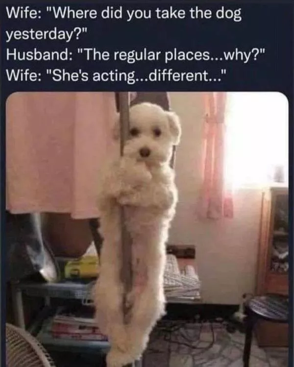 Random memes - #2 