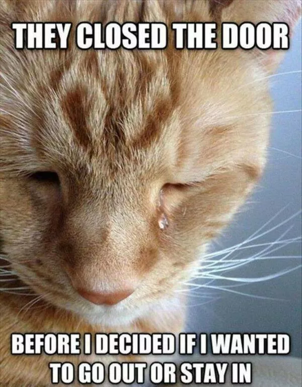 Random memes - #20 