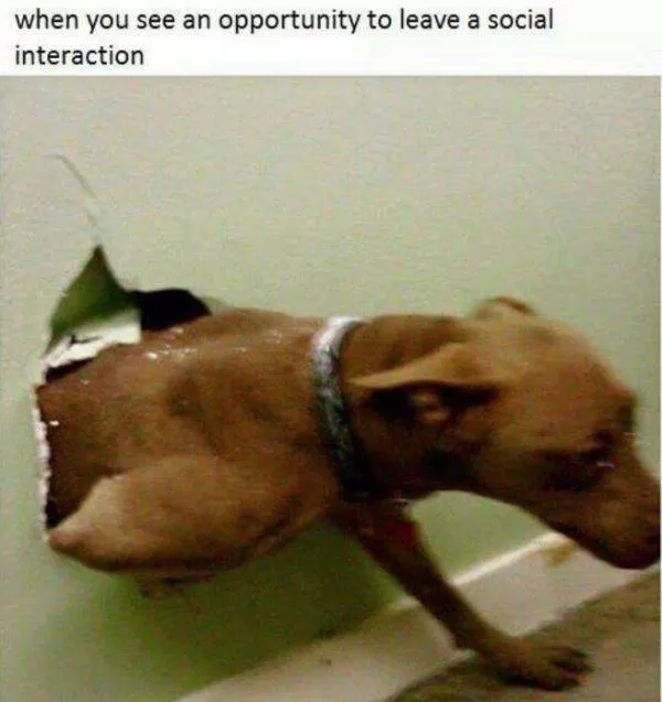 Random memes - #24 