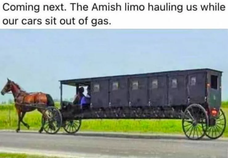 Random memes - #3 