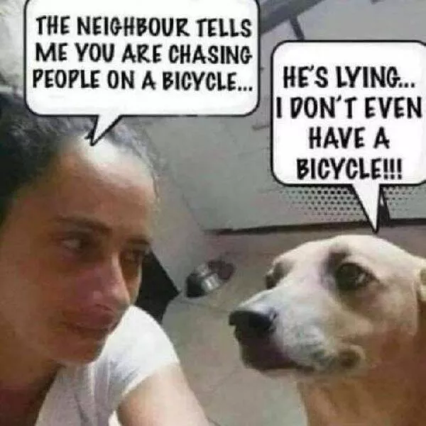 Random memes - #8 