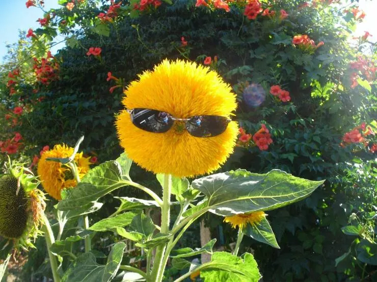 Picdump 677 - #2 