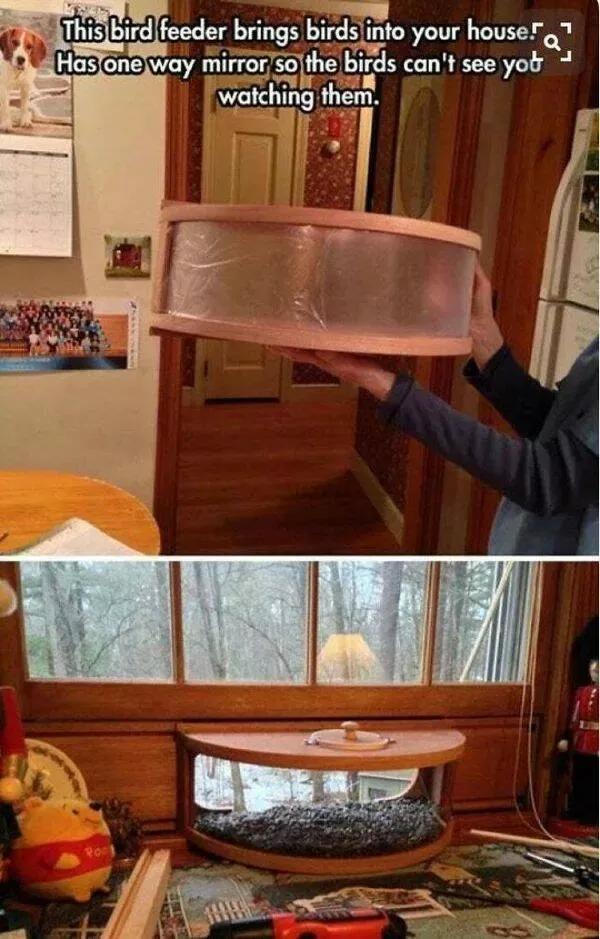 Interesting objects - #2 