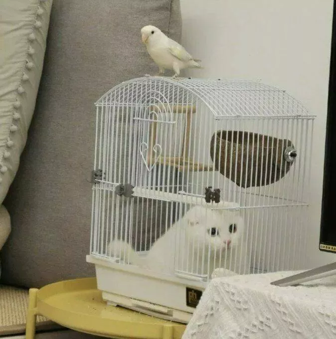 Picdump 678 - #29 
