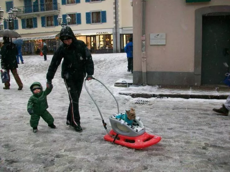 Picdump 678 - #41 