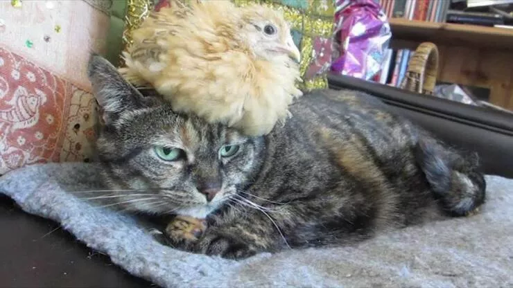 Picdump 678 - #5 