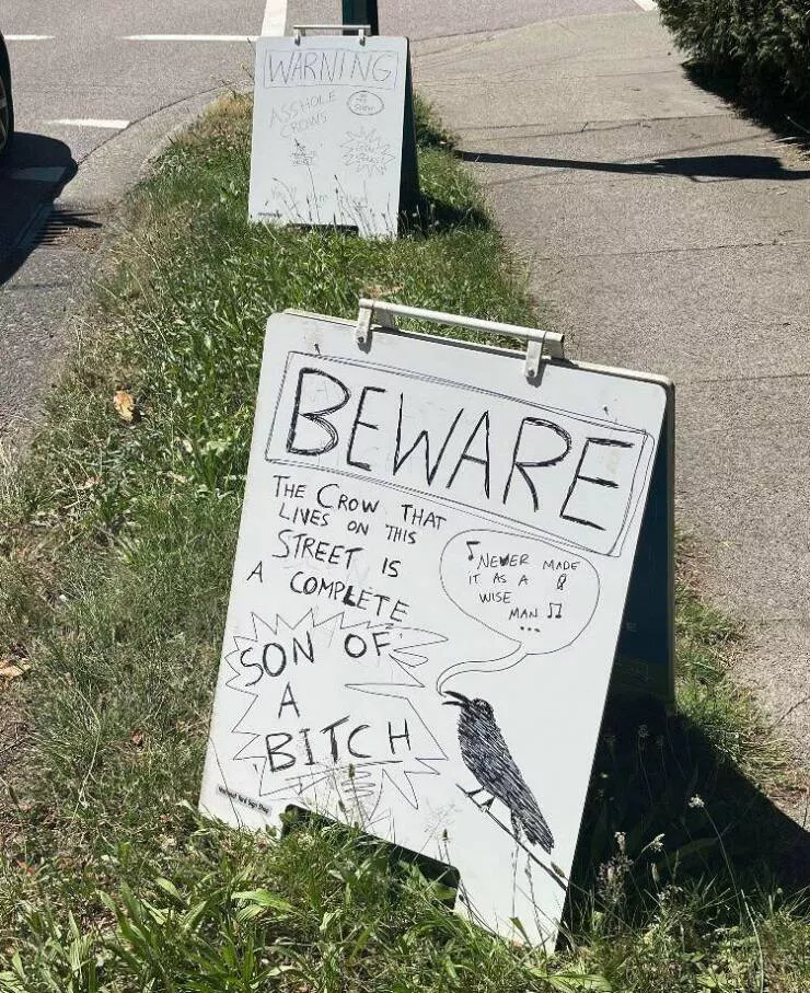Picdump 678 - #57 