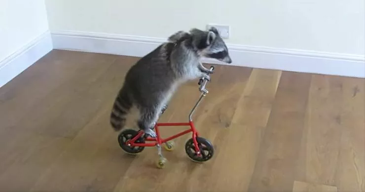 Picdump 678 - #61 