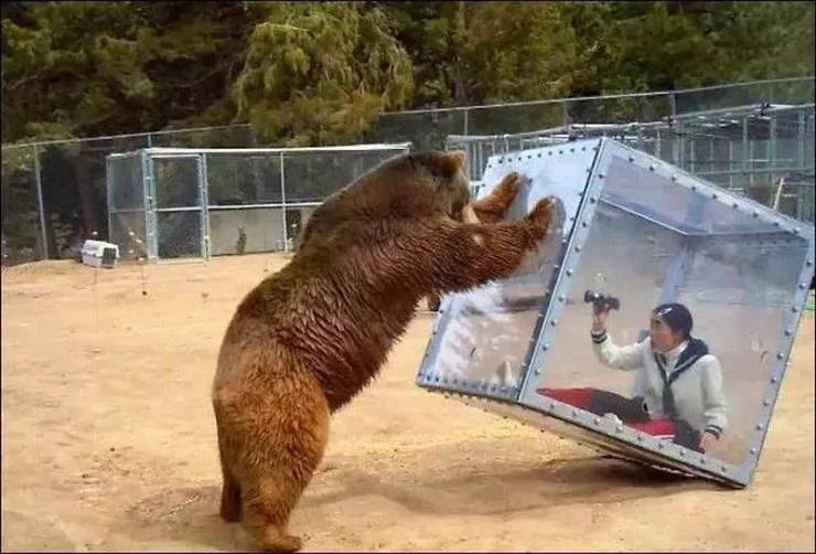 Picdump 681 - #12 