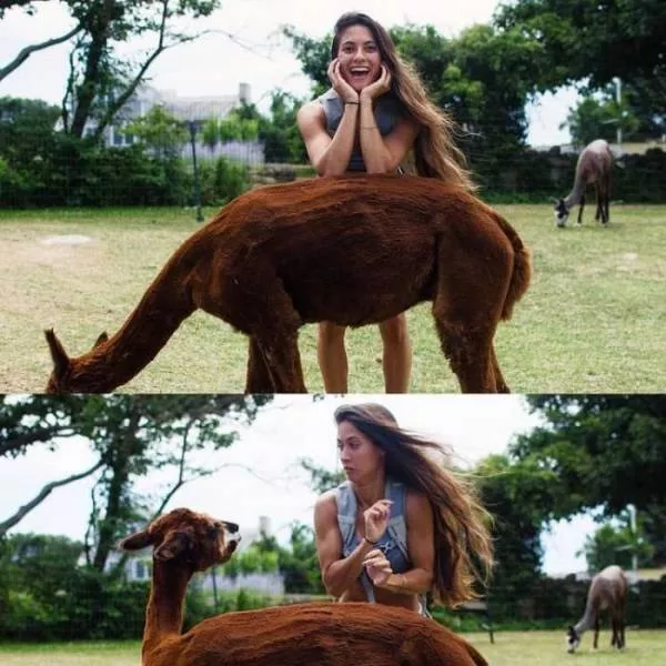 Picdump 681 - #32 