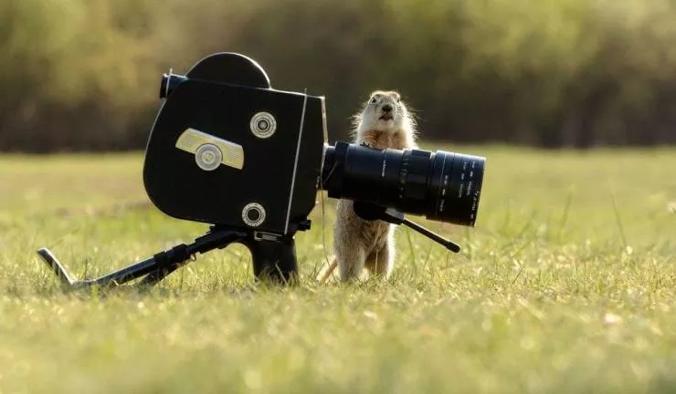 Picdump 681 - #59 