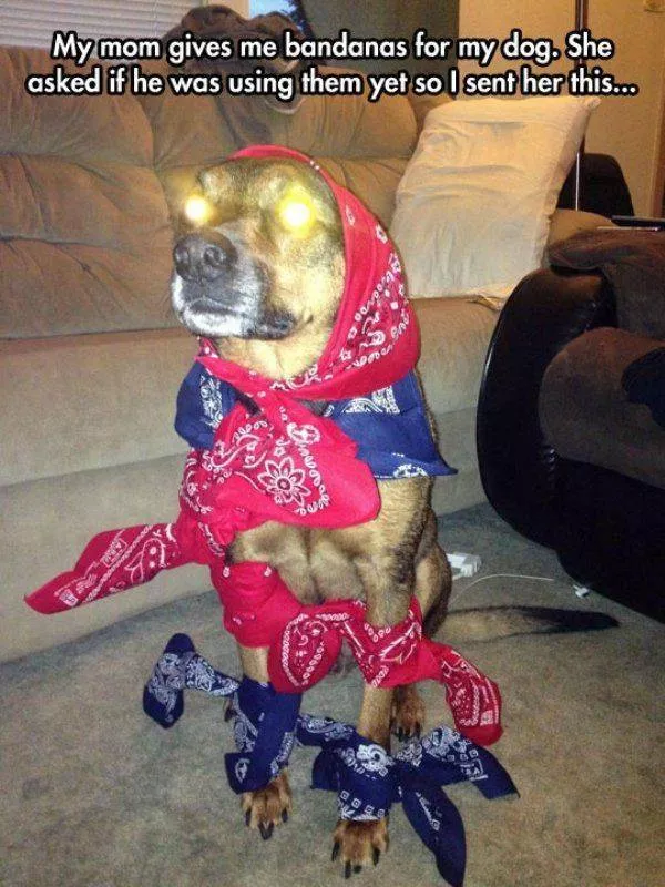 Picdump 681 - #6 