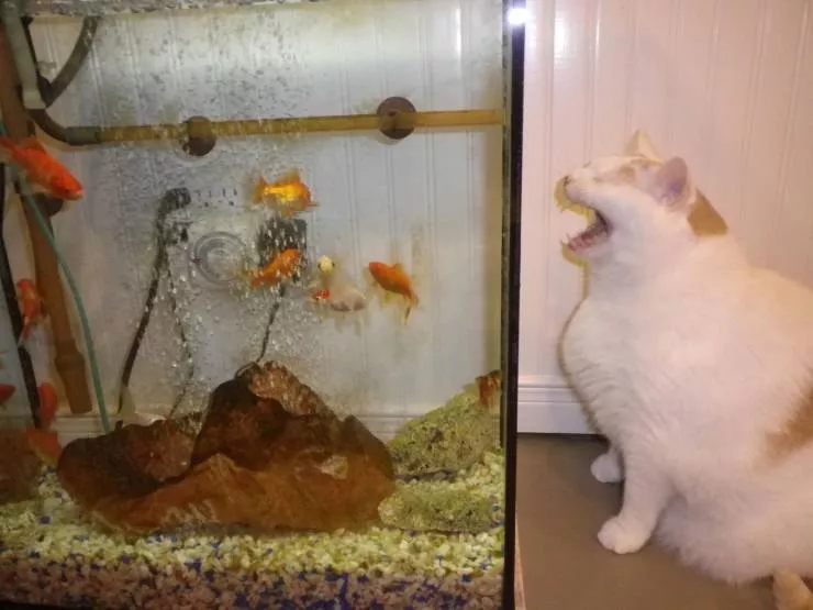 Picdump 681 - #96 