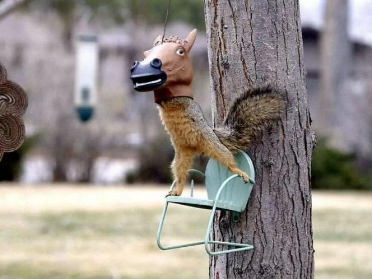 Picdump 682 - #18 