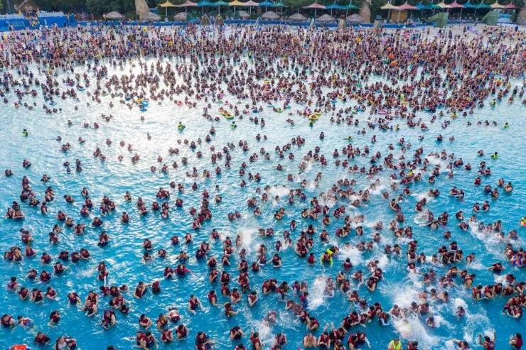 Picdump 682 - #36 