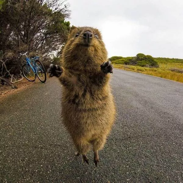 Picdump 682 - #52 