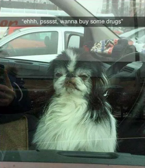 Picdump 682 - #60 