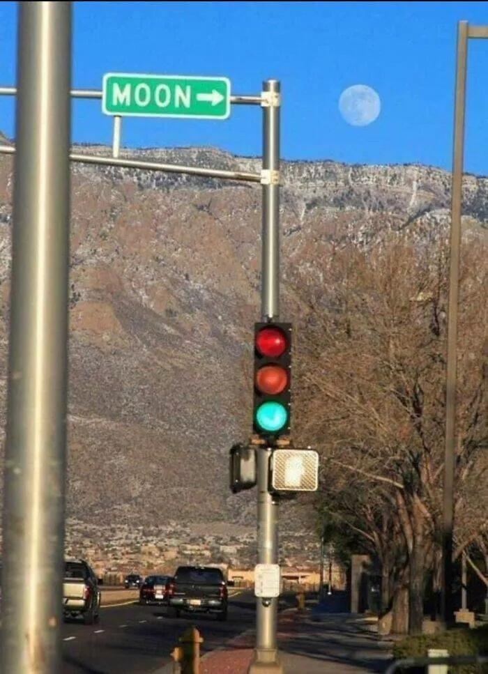  funny pictures photos to make you laugh - #10 