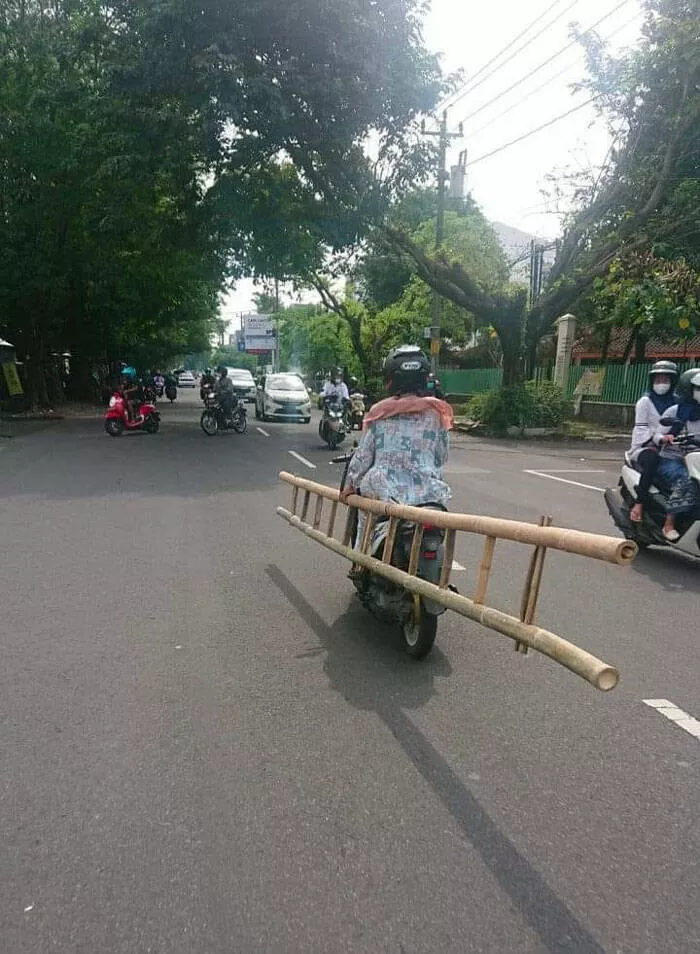  funny pictures photos to make you laugh - #47 
