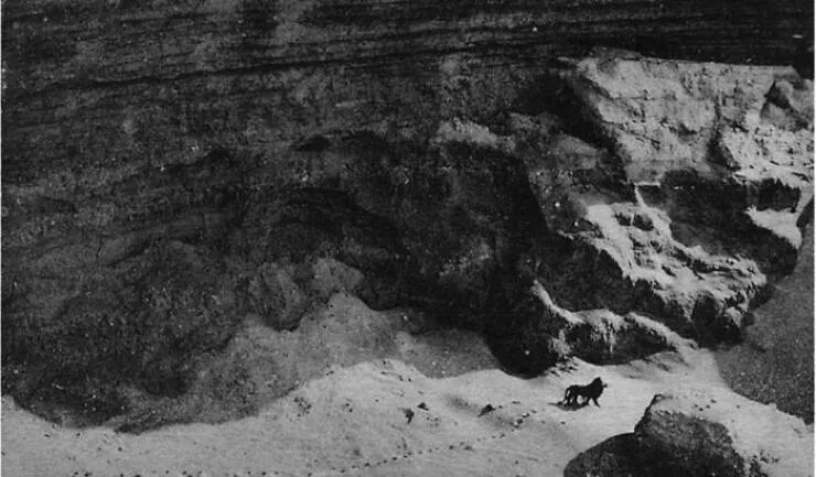 What nature looked like many years ago - #10 