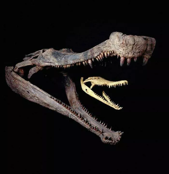 What nature looked like many years ago - #11 