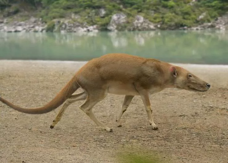 What nature looked like many years ago - #12 