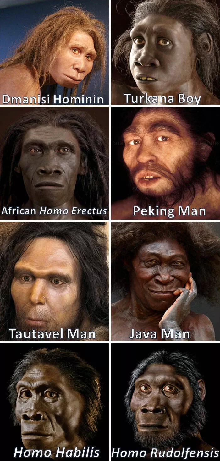 What nature looked like many years ago - #16 