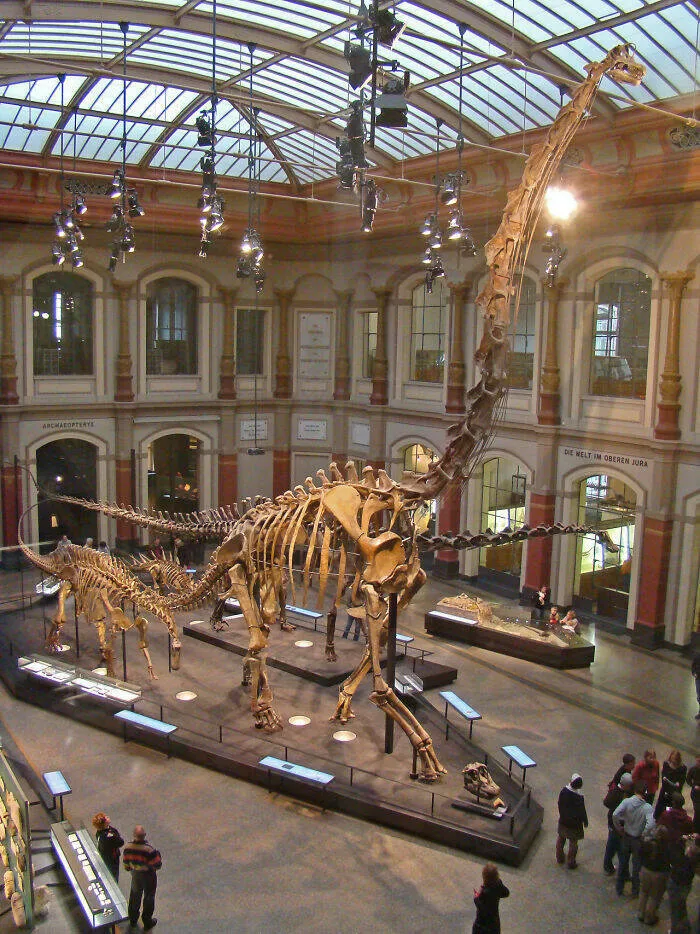 A quoi ressemblait la nature il y a de nombreuses annees - #17 
