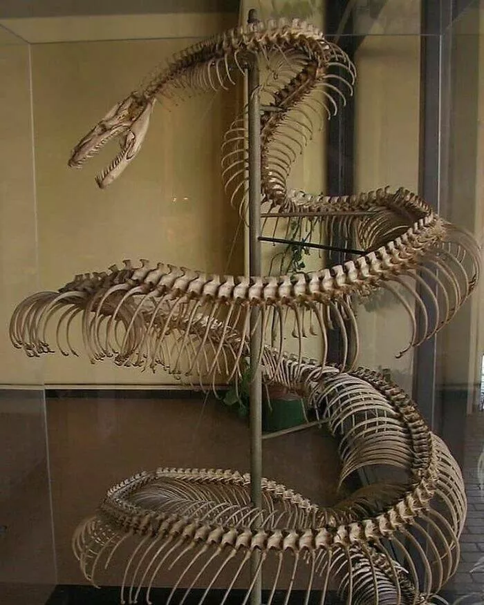 What nature looked like many years ago - #20 