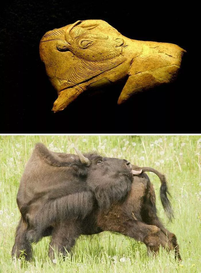 What nature looked like many years ago - #25 