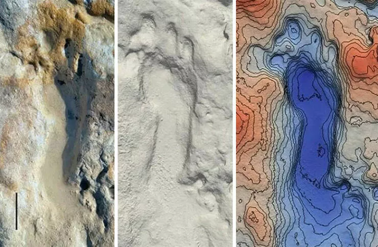 A quoi ressemblait la nature il y a de nombreuses annees - #26 