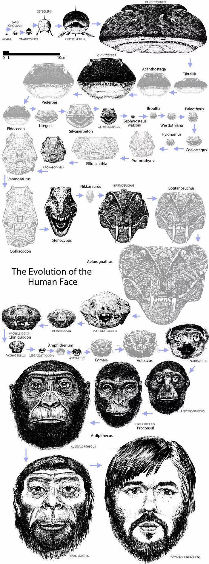 What nature looked like many years ago - #28 
