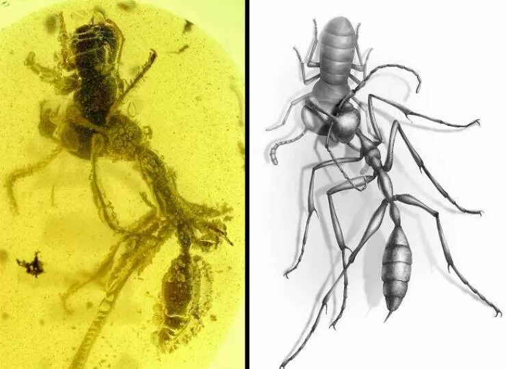 A quoi ressemblait la nature il y a de nombreuses annees - #29 