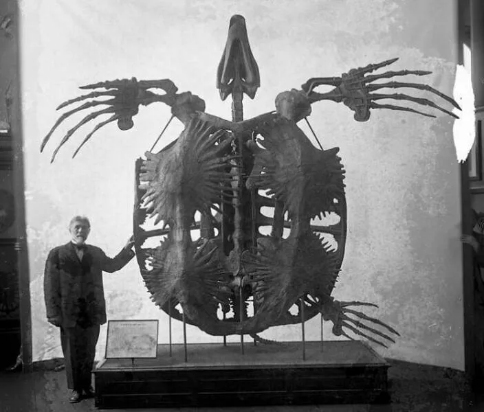 What nature looked like many years ago