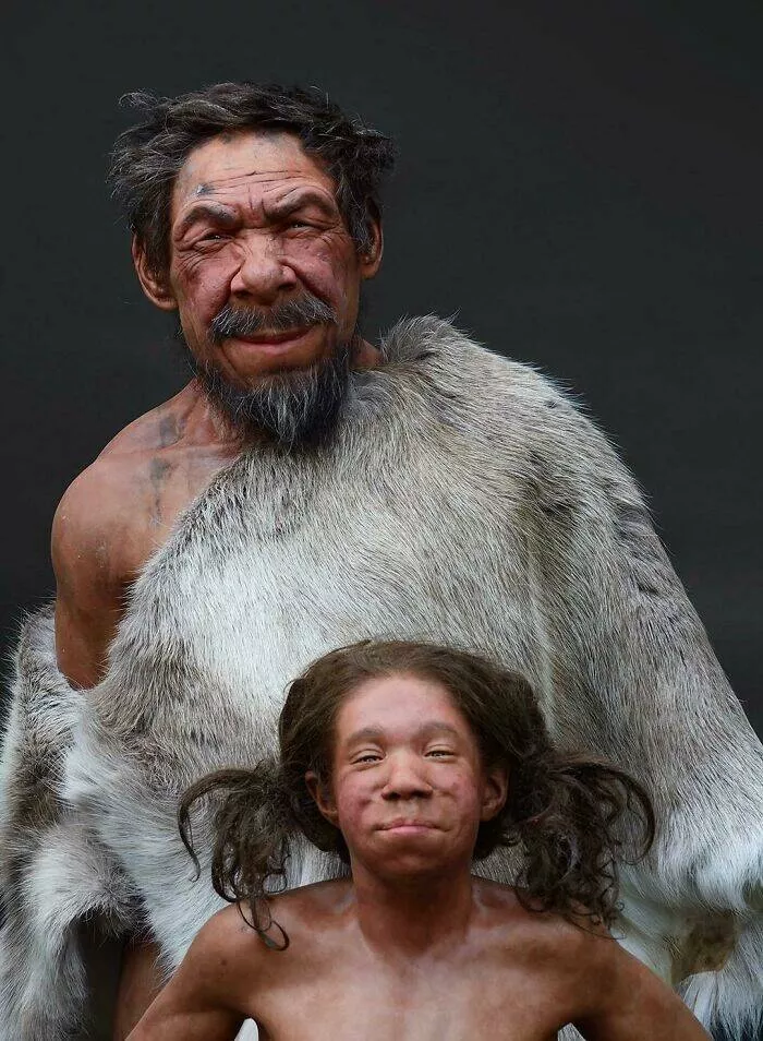 A quoi ressemblait la nature il y a de nombreuses annees - #5 