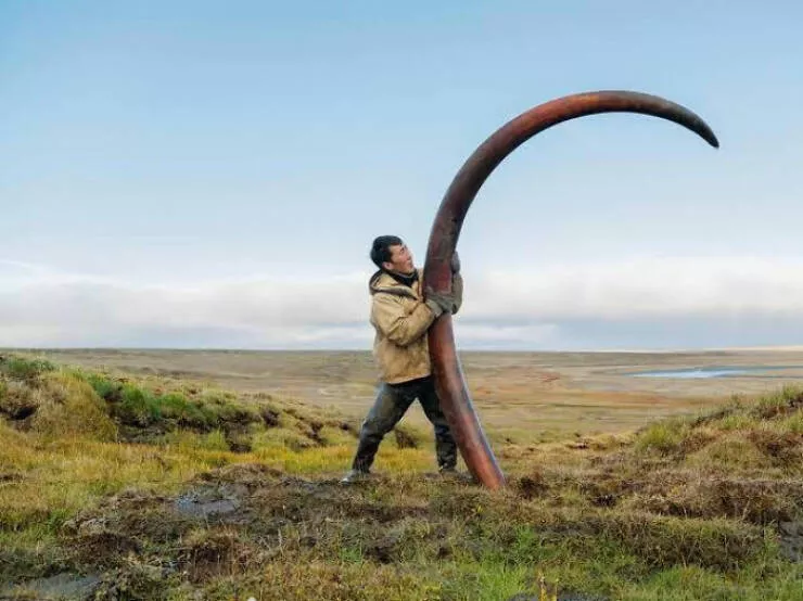 A quoi ressemblait la nature il y a de nombreuses annees - #8 
